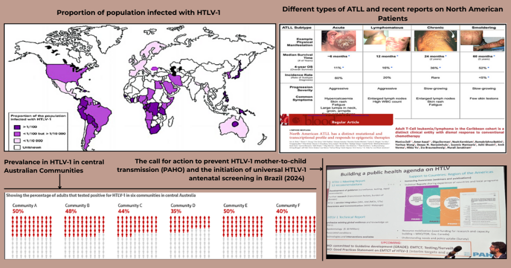 Tracking HTLV-1's global impact: from its consequential rare disease (ATLL) in North America to the latest Australian epidemic. Highlights efforts by WHO/PAHO on mother-to-child transmission prevention and universal antenatal screening.